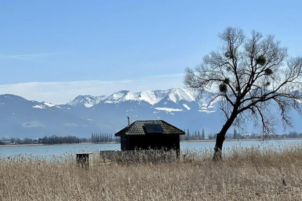 Bodensee Apartments, Sauna, Lake Walks, Free Parking, Self Checkin, Nature Reserve, Restaurants Nearby Gaissau  Extérieur photo
