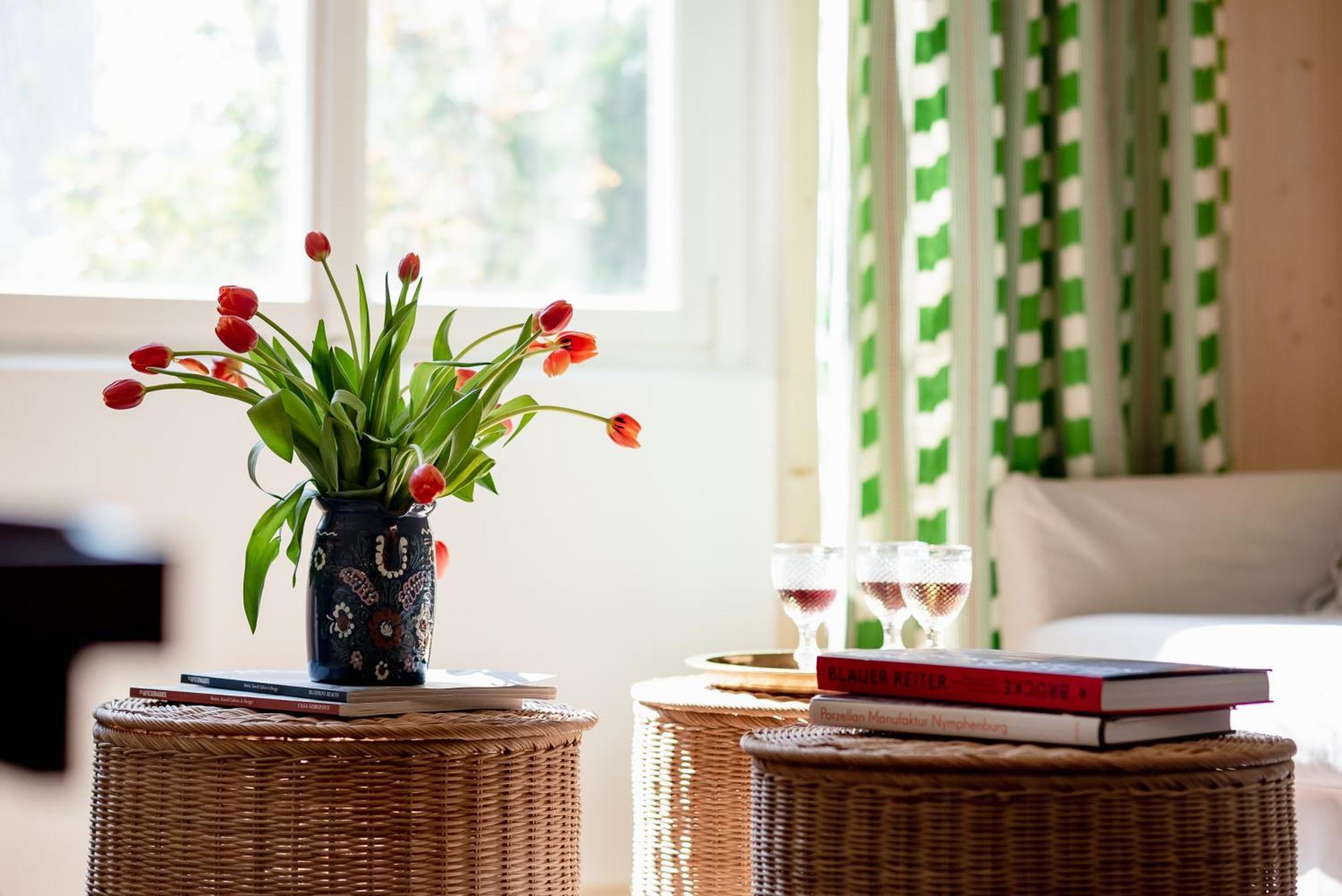 Bodensee Apartments, Sauna, Lake Walks, Free Parking, Self Checkin, Nature Reserve, Restaurants Nearby Gaissau  Extérieur photo